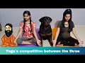 Funny Yoga's competition with my dog||funny dog videos||rottweiler