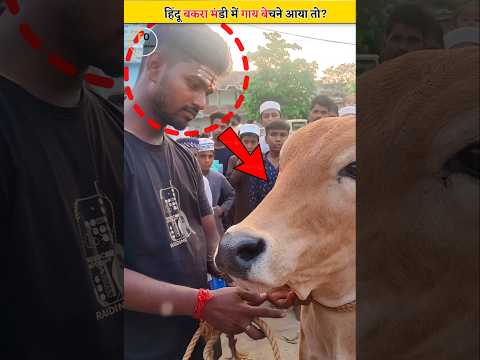 Eid pe Hindu Ladka Gai Bechne Aya… Phir 😳