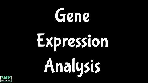 Gene Expression Analysis | GEA |