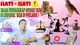 Jerat Hukum Pelaku Penangkapan Satwa Yang Dilindungi