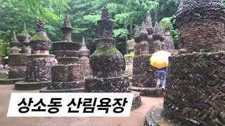 대전 상소동 산림욕장/성심당제과점/청주 베지밀 공장