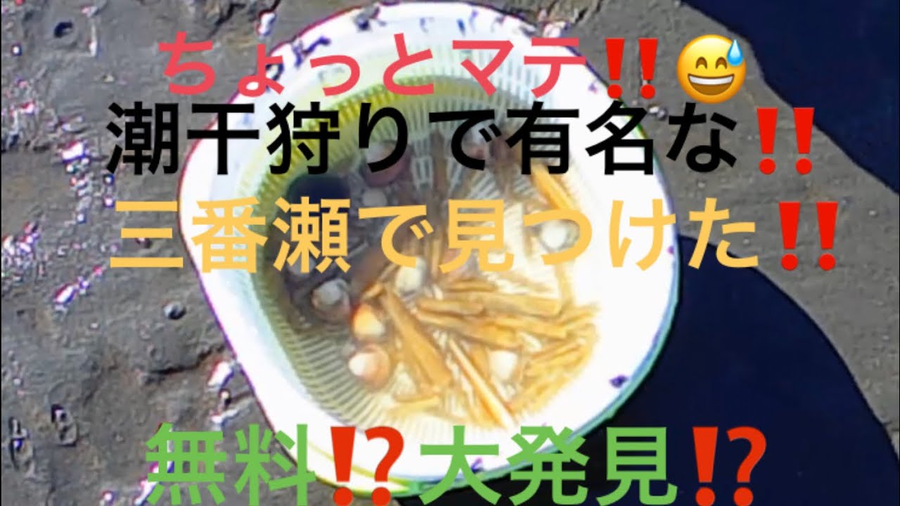 あの潮干狩りで有名な三番瀬海浜公園でななんとマテ貝が Youtube あの潮干狩りで有名な三番瀬海浜公園でななんとマテ貝が Youtube