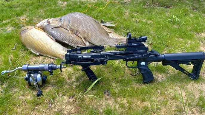 No Nonsense Bowfishing w/ Mini Striker Pistol Crossbow 