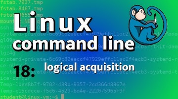 LCL 18 - logical acquisition with rsync, tar, 7z - Linux Command Line tutorial for forensics