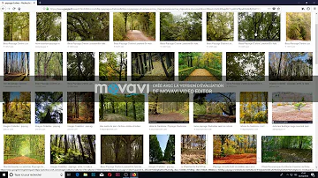 Comment copier coller une image avec Google Chrome ?