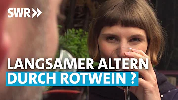 Ist Rotwein ein Blutverdünner?