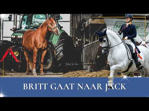 HOW IS JACK DOING?! | PaardenpraatTV