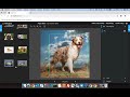How to build custom computer vision datasets for classification and object detection