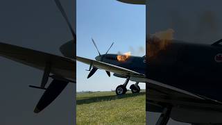 Spitfire start-up