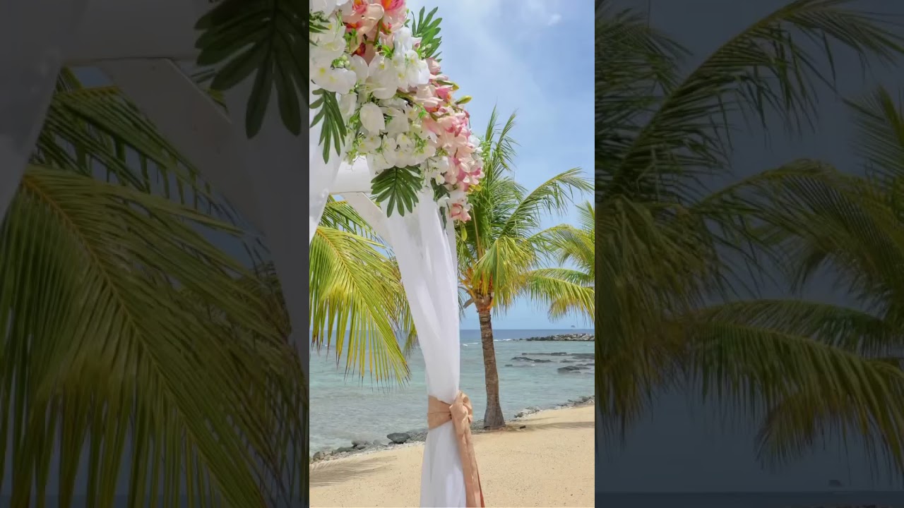 Your tropical wedding at Roatan🌞🌴 