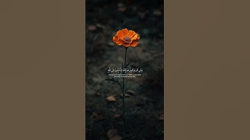 وكان الله غفورا رحيما بصوت الشيخ أبو ادريس #قرآن #تلاوة_خاشعة #حصن_المسلم #جوهرة_السعادة