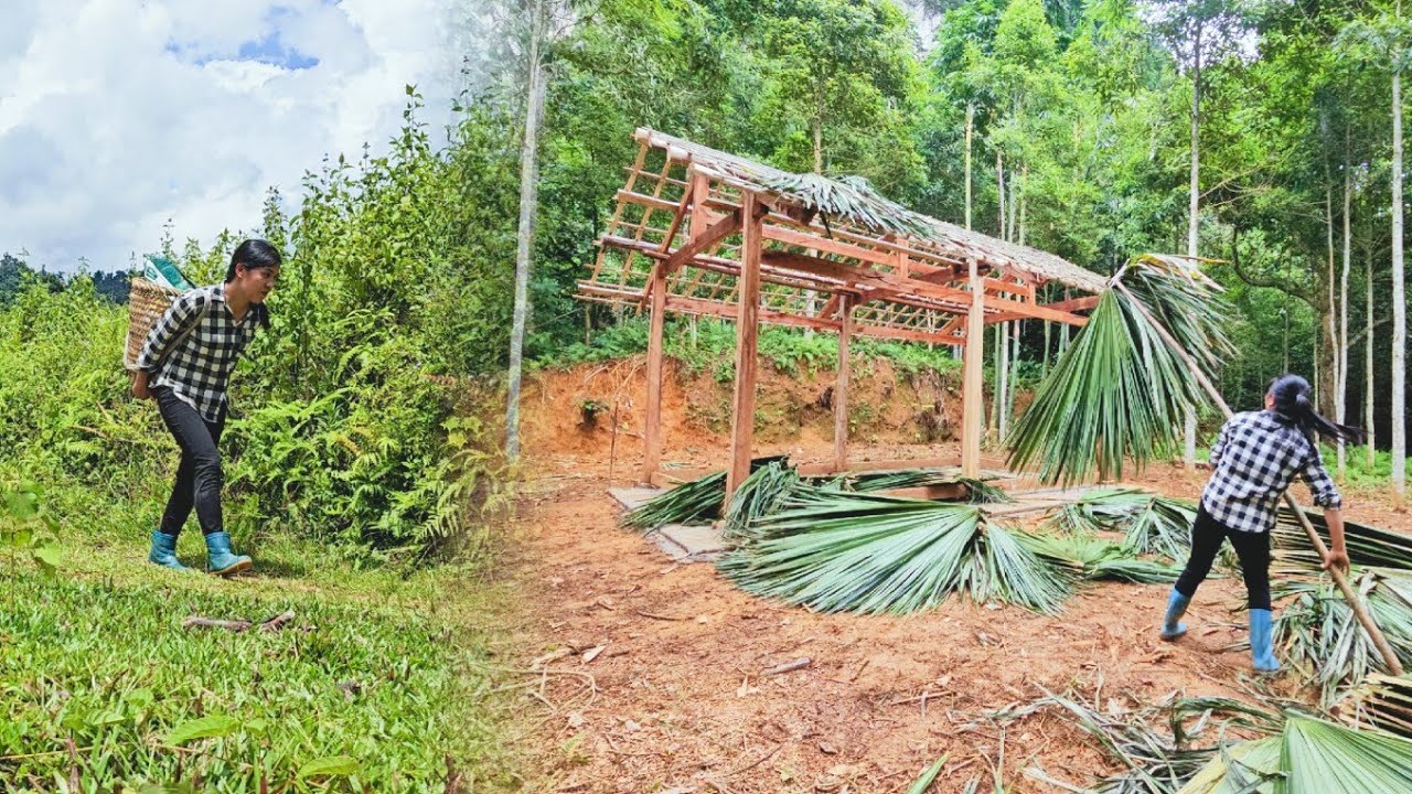 How did she build her dream home in the forest with her own hands ...