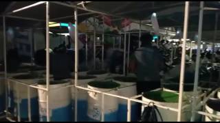 Flow hellsgate steel orchestra 2017- Jumbie