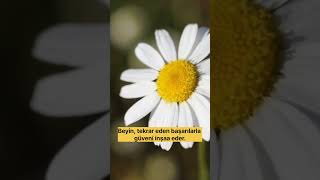 Özgüven Doğuştan Mı Gelir? Polojik Gerçekler