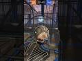 CRAZY Double Tap Angle #rocketleague #rl #rlcs #flipreset #fyp #trending #foryou #viral #clips #edit