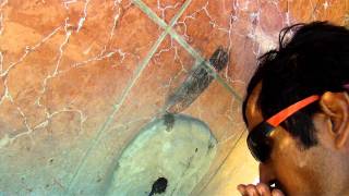 Cooling myself down with cold water
