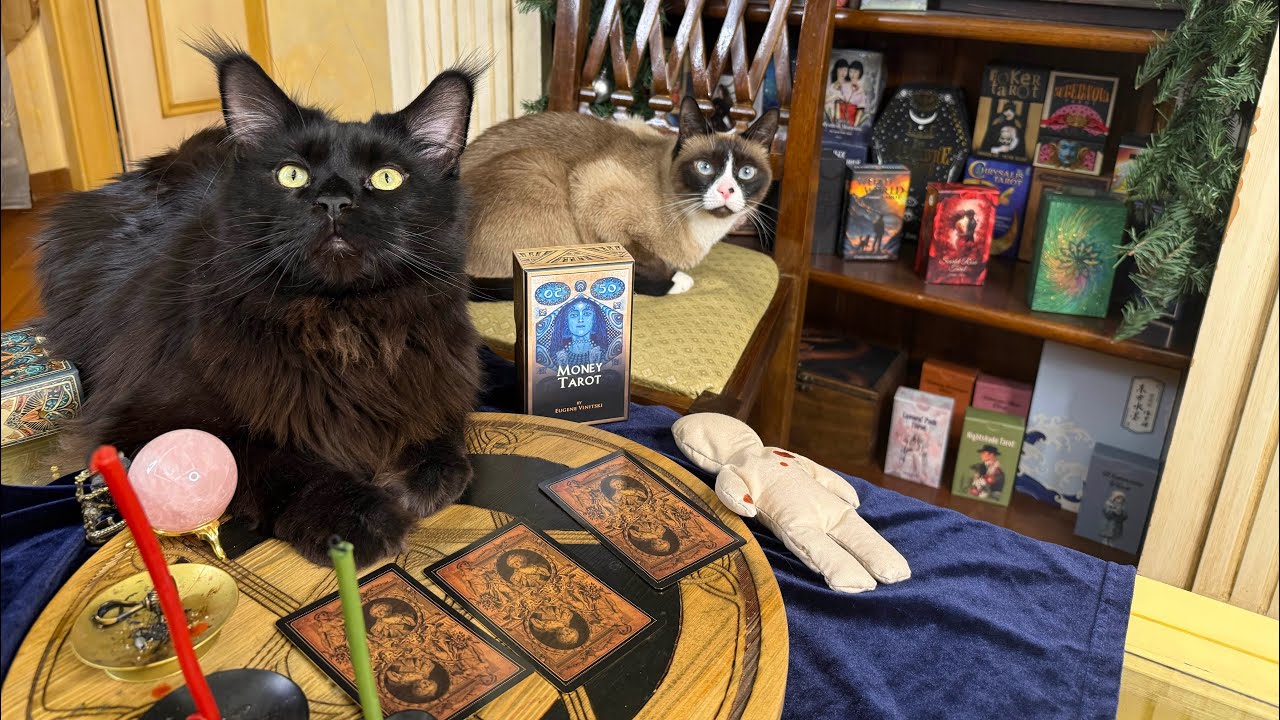 💰 🌟ВАШИ ВОЗМОЖНОСТИ ПО ФИНАНСАМ И КАРЬЕРЕ