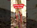 Grafting Grape Two Variant!!️#asmreating #garden #grape #grapetree #grapevine