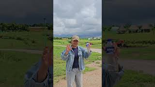 ម្ចាស់ទី២ចំណេញជិត១០ម៉ឺន$ ដីចម្ការនេះរៀបចំហើយមួយចប់ #sathoura #farming #abelbirhanuየወይኗ