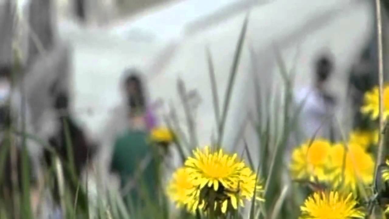 Barnetegi de Bakaiku