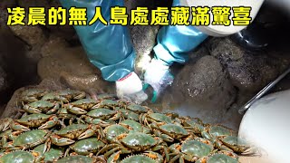 凌晨的無人島處處藏滿驚喜,螃蟹、石九公扎堆,小漁的海鮮大餐有著落了【漁小仙】
