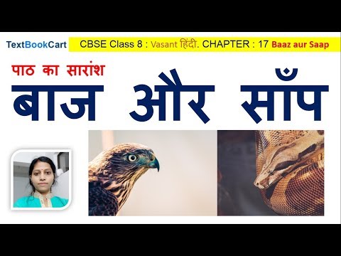 Class 8 Hindi Chapter 17 बाज और साँप