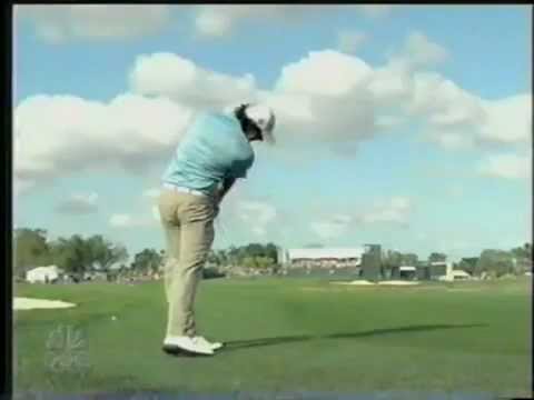 Rory McIlroy Swing Vision