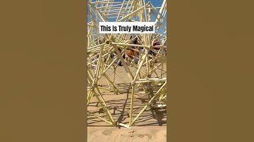 New Strandbeest in 2026 From Artist Theo Jansen!