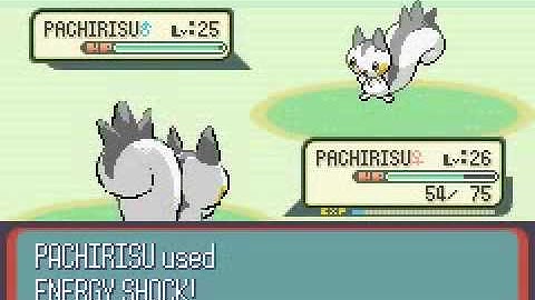 Pokemon Ruby Hack - Calvin Round 4