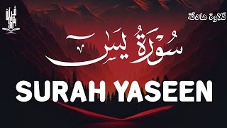 Surah Ya-Sin || Magical Recitation || By Reciter Tareq Mohammad