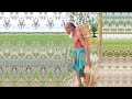 Amazing fishing by 81 years old village fisherman