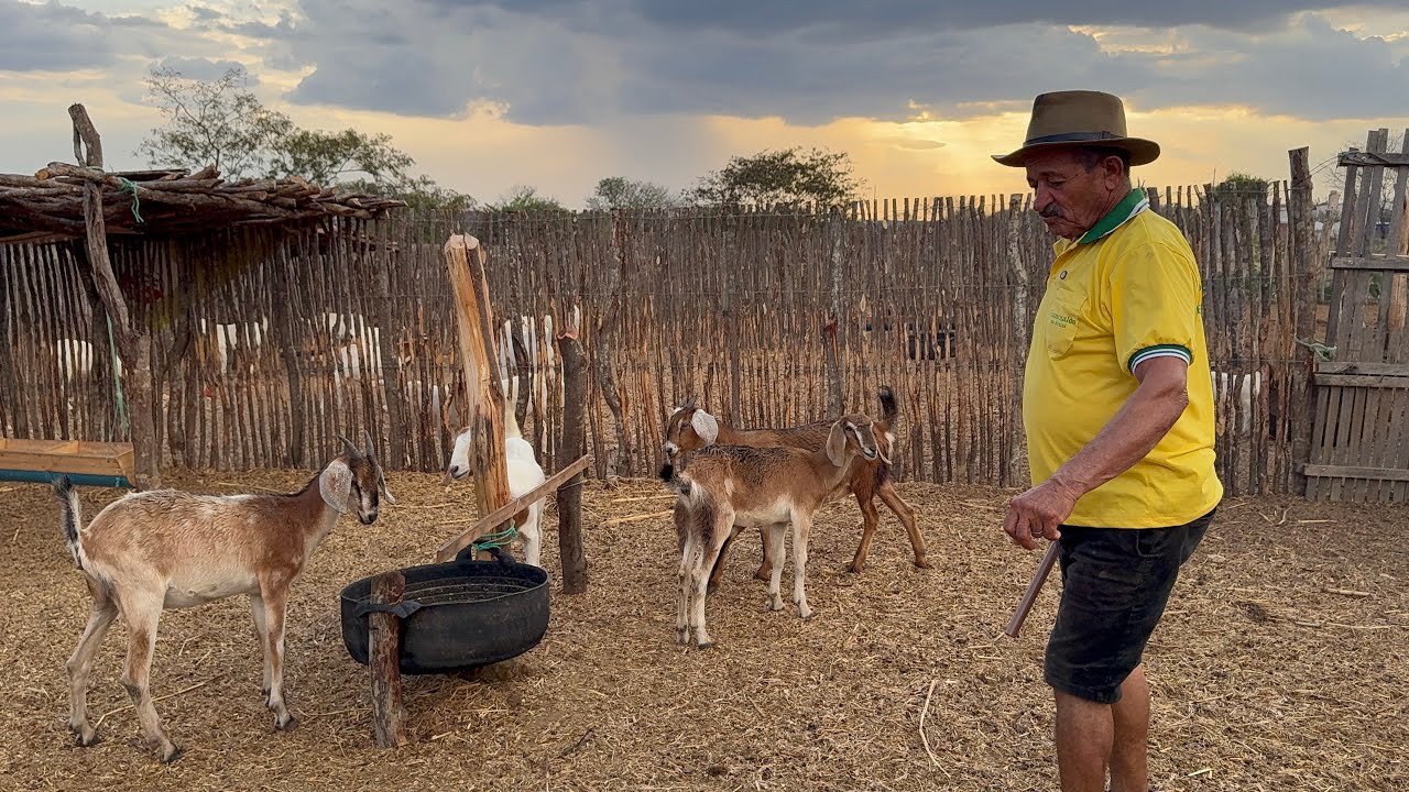 As chuvas estão voltando ao nordeste 