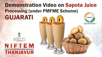 Demonstration Video on Sapota Juice Processing (under PMFME Scheme) - GUJARATI
