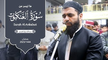 ما تيسر من سورة العنكبوت بصوت قارئ عبداللّٰه نياز الكردي #رمضان