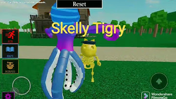 tigry raid all morphs