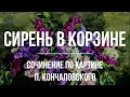 Сочинение по картине «Сирень в корзине» П. Кончаловского