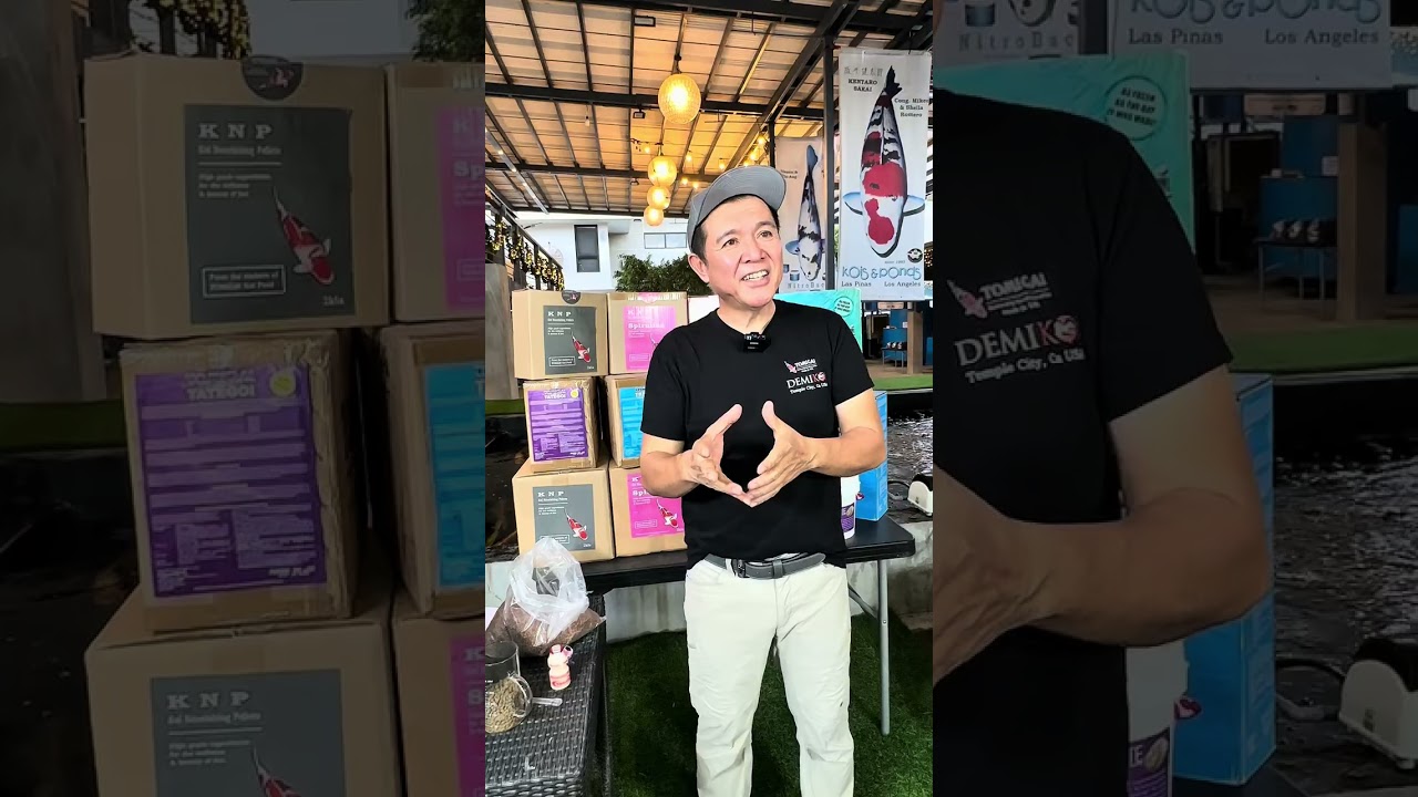 Demo on making TOMiGAi KNP medicated koi food. Powering the aerator from the car inverter