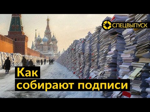 Выборы 2024: Как собирают подписи за кандидатов в президенты? | Подписи Путина и Надеждина