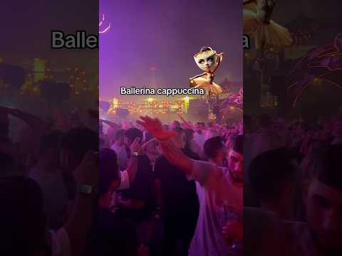 בלרינה קפוצ ינה 