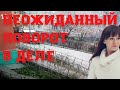 Елена Логунова. Неожиданный поворот в деле