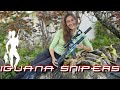 100 iguana count completed iguana snipers 139