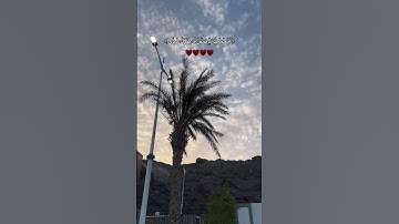 قران كريم - القارئ عبدالرحمن العوالقي -................ #المصحف #قران #اكسبلور #لايك