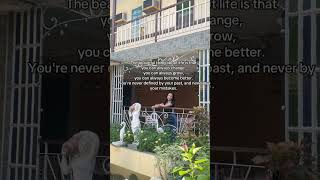 Download Lagu #cttomusicnotmine  MP3