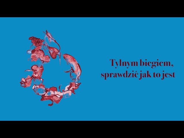 KRÓL SŁOŃCE - OSTATNIA SZANSA