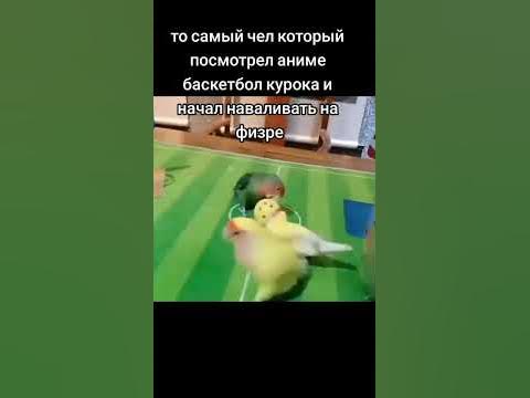 Абсолют и аниме - YouTube