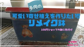 ❰リメイク鉢❱100均プラスチック鉢を可愛くリメイク。Remake/DIY/gardening/Succulent plant/