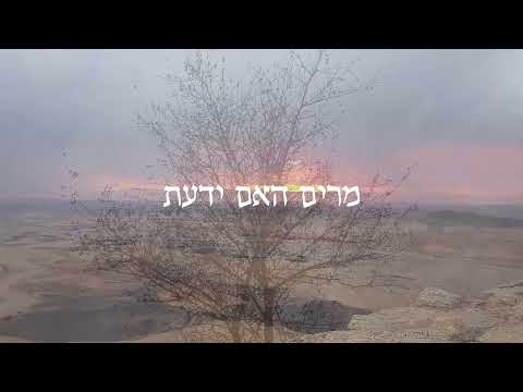 וִידֵאוֹ: אדריכלות רוסית כשיקוף של תפיסת העולם של העם