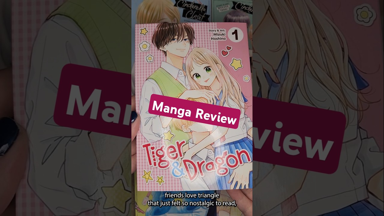 Tiger &amp; Dragon Manga Review #mangareview - YouTube