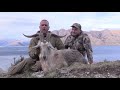 New Zealand hunting for trophy alpine goats with Exclusive Adventures NZ
