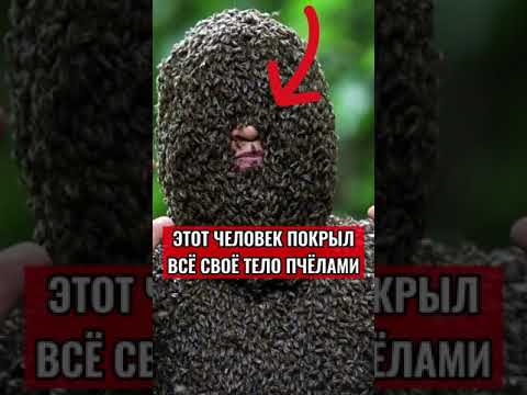 ЭТОТ ЧЕЛОВЕК ПОКРЫЛ ВСЁ СВОЁ ТЕЛО ПЧЁЛАМИ🐝